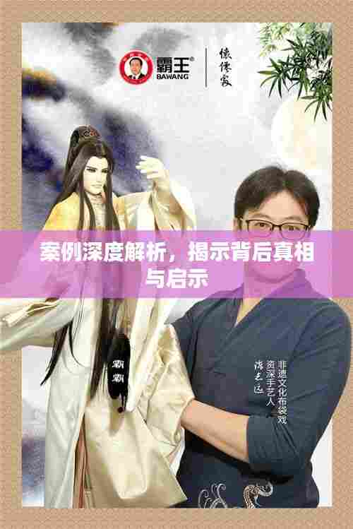 案例深度解析,揭示背后真相与启示