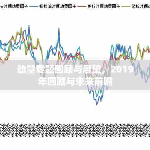 动量专题回顾与展望，2019年回顾与未来前瞻