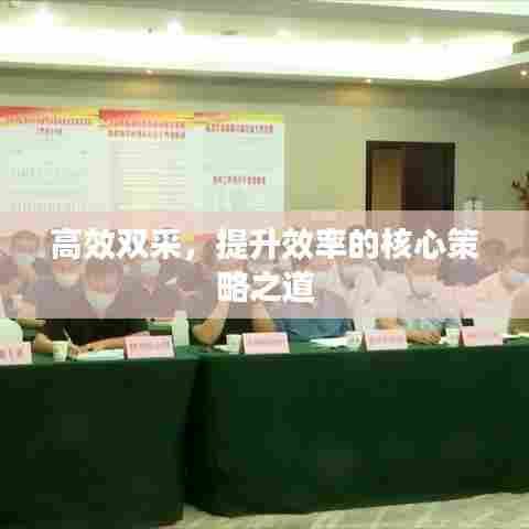 高效双采,提升效率的核心策略之道