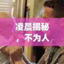 凌晨揭秘，不为人知的真相深度报道