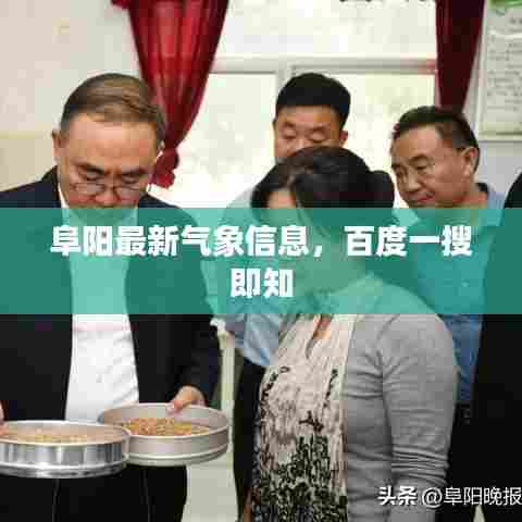 阜阳最新气象信息，百度一搜即知