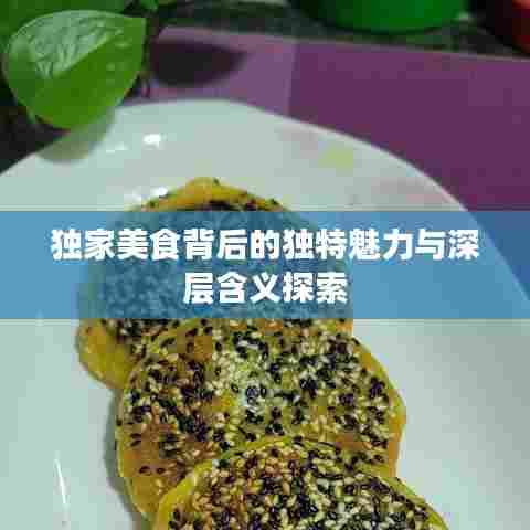 独家美食背后的独特魅力与深层含义探索