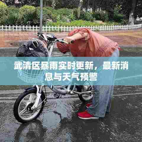武清区暴雨实时更新,最新消息与天气预警