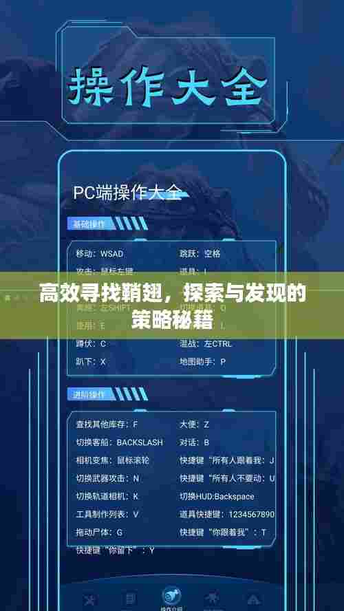 高效寻找鞘翅，探索与发现的策略秘籍