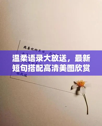 温柔语录大放送,最新短句搭配高清美图欣赏