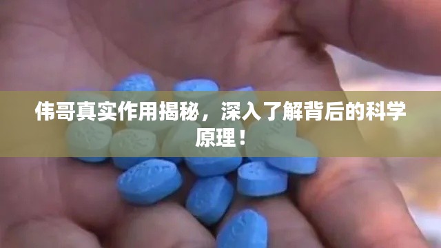 伟哥真实作用揭秘，深入了解背后的科学原理！