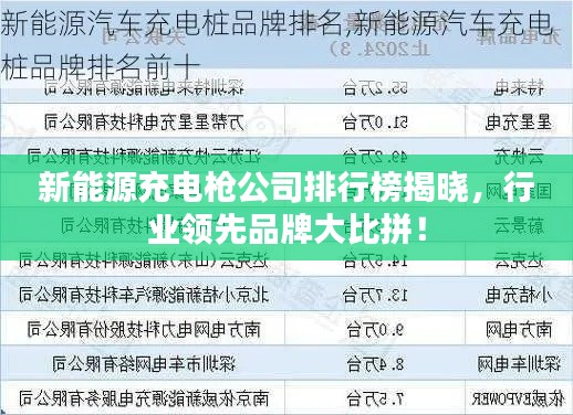 新能源充电枪公司排行榜揭晓，行业领先品牌大比拼！