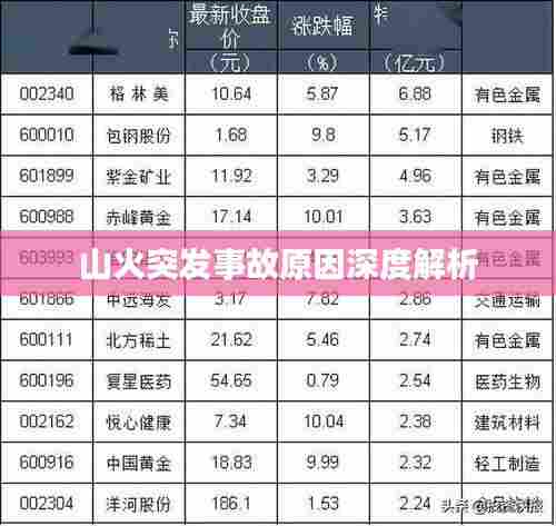 山火突发事故原因深度解析