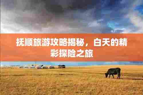 抚顺旅游攻略揭秘,白天的精彩探险之旅