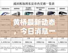 黄桥最新动态,今日消息一网打尽!