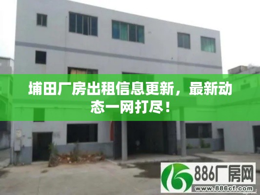埔田厂房出租信息更新,最新动态一网打尽!