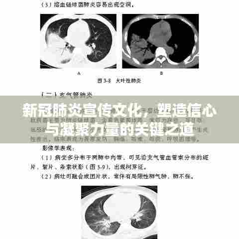 新冠肺炎宣传文化,塑造信心与凝聚力量的关键之道