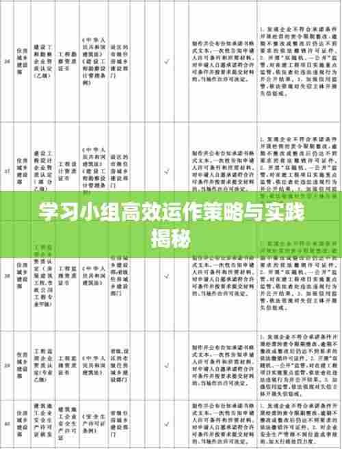 学习小组高效运作策略与实践揭秘