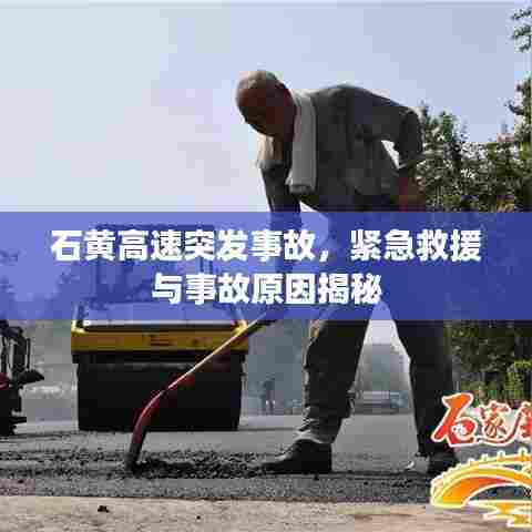 富贵利达 第5页