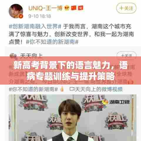 新高考背景下的语言魅力,语病专题训练与提升策略