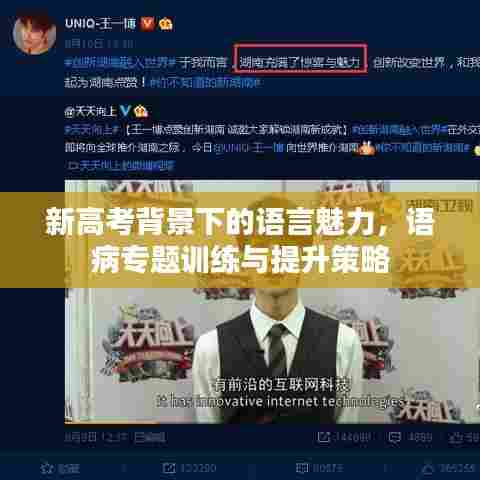新高考背景下的语言魅力,语病专题训练与提升策略