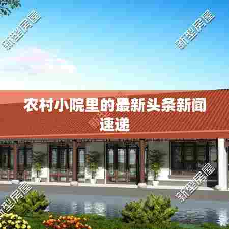 农村小院里的最新头条新闻速递
