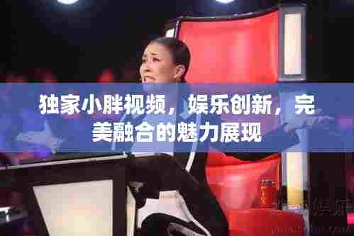 独家小胖视频,娱乐创新,完美融合的魅力展现