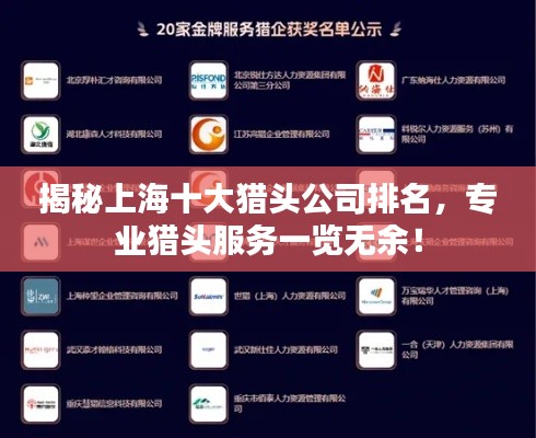 揭秘上海十大猎头公司排名,专业猎头服务一览无余!
