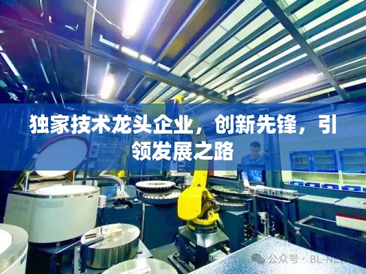 独家技术龙头企业,创新先锋,引领发展之路