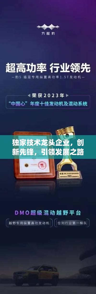 独家技术龙头企业,创新先锋,引领发展之路