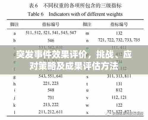 突发事件效果评价，挑战、应对策略及成果评估方法