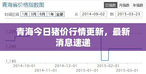 青海今日猪价行情更新，最新消息速递