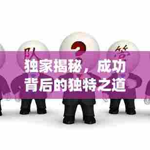 独家揭秘，成功背后的独特之道