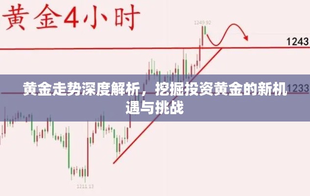 黄金走势深度解析，挖掘投资黄金的新机遇与挑战