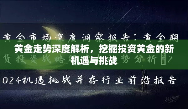 黄金走势深度解析,挖掘投资黄金的新机遇与挑战