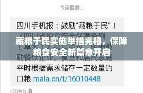 藏粮于民实施举措亮相,保障粮食安全新篇章开启