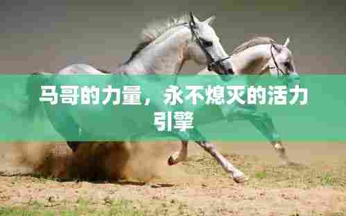 马哥的力量，永不熄灭的活力引擎