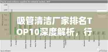 吸管清洁厂家排名TOP10深度解析,行业权威榜单揭秘!