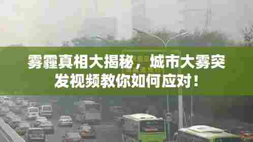 雾霾真相大揭秘，城市大雾突发视频教你如何应对！