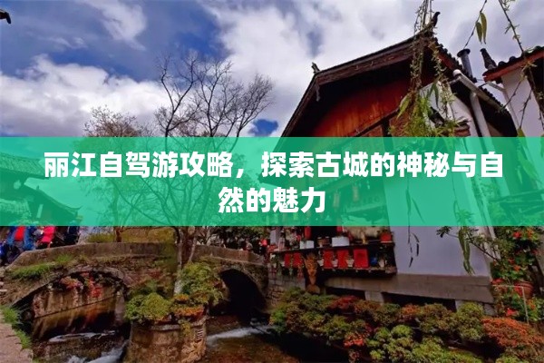 丽江自驾游攻略,探索古城的神秘与自然的魅力