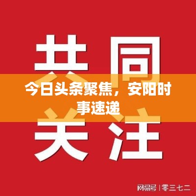 今日头条聚焦，安阳时事速递