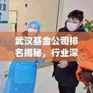 武汉基金公司排名揭秘,行业深度洞察报告
