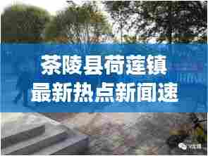 茶陵县荷莲镇最新热点新闻速递
