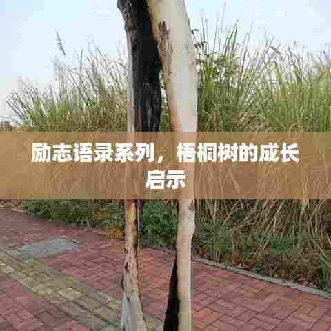 励志语录系列，梧桐树的成长启示