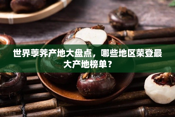 世界荸荠产地大盘点，哪些地区荣登最大产地榜单？