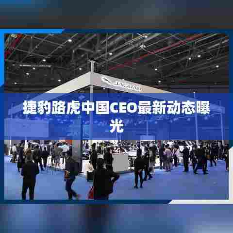 捷豹路虎中国CEO最新动态曝光