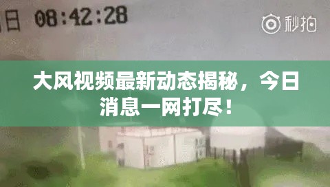 大风视频最新动态揭秘，今日消息一网打尽！