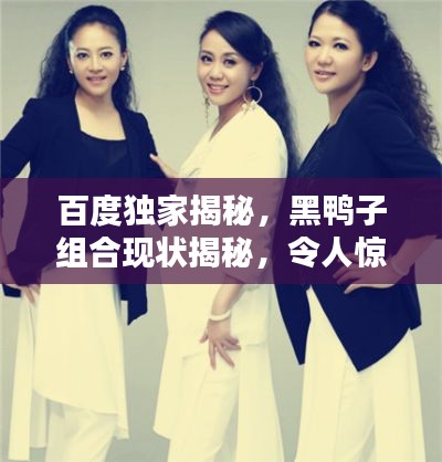 百度独家揭秘,黑鸭子组合现状揭秘,令人惊喜的发现!