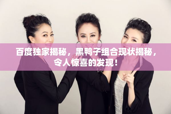 百度独家揭秘,黑鸭子组合现状揭秘,令人惊喜的发现!