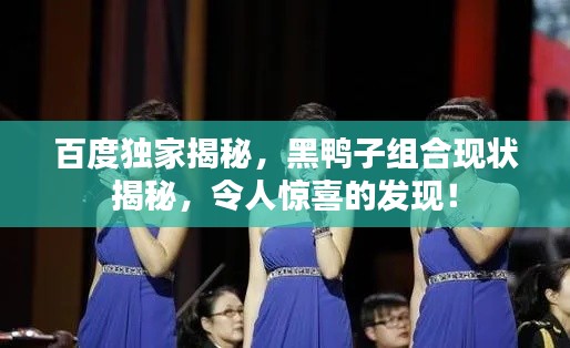 百度独家揭秘,黑鸭子组合现状揭秘,令人惊喜的发现!