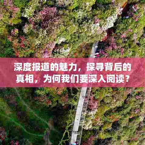 深度报道的魅力,探寻背后的真相,为何我们要深入阅读?
