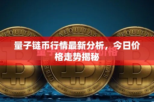 量子链币行情最新分析，今日价格走势揭秘