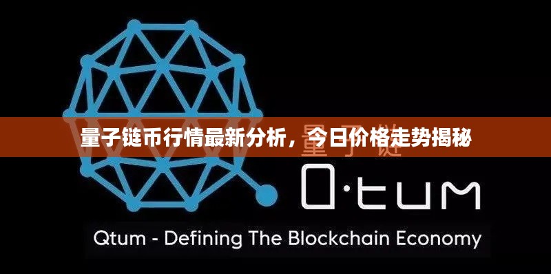 量子链币行情最新分析,今日价格走势揭秘