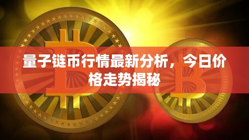 量子链币行情最新分析,今日价格走势揭秘