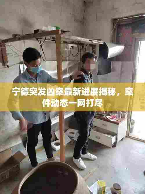 宁德突发凶案最新进展揭秘,案件动态一网打尽